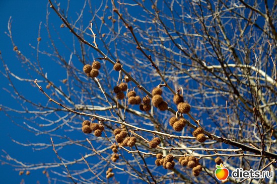 110 фото: Салоники-Халкидики-Лутраки декабрь 2012-январь 2013
