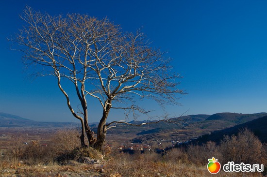 118 фото: Салоники-Халкидики-Лутраки декабрь 2012-январь 2013