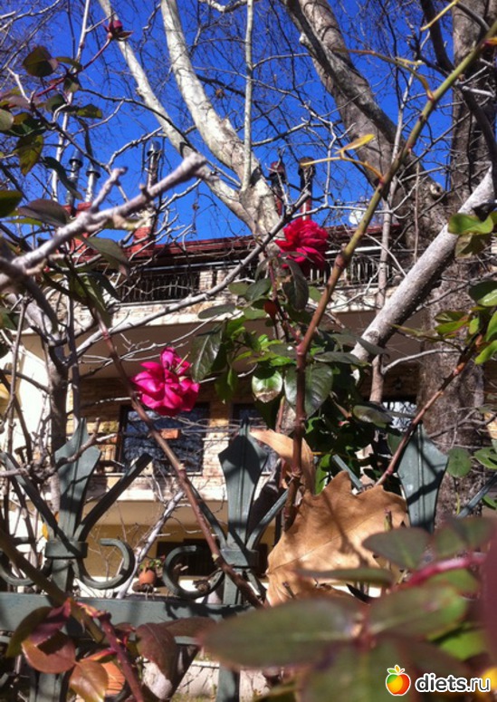 61 фото: Салоники-Халкидики-Лутраки декабрь 2012-январь 2013