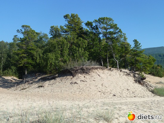 6 ����: ��������� ������