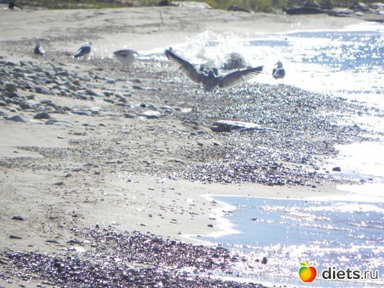 12 ����: ��������� ������