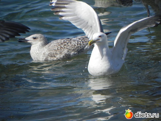 17 ����: ��������� ������