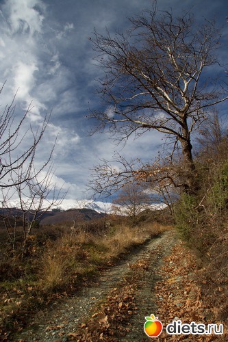 75 фото: Салоники-Халкидики-Лутраки декабрь 2012-январь 2013