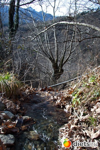 78 фото: Салоники-Халкидики-Лутраки декабрь 2012-январь 2013