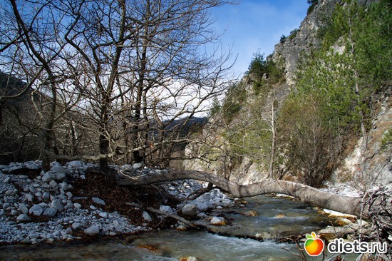 91 фото: Салоники-Халкидики-Лутраки декабрь 2012-январь 2013