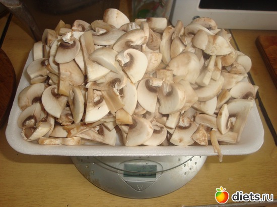 1 ����: ��� �������!