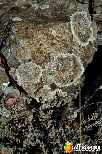 124 фото: Салоники-Халкидики-Лутраки декабрь 2012-январь 2013