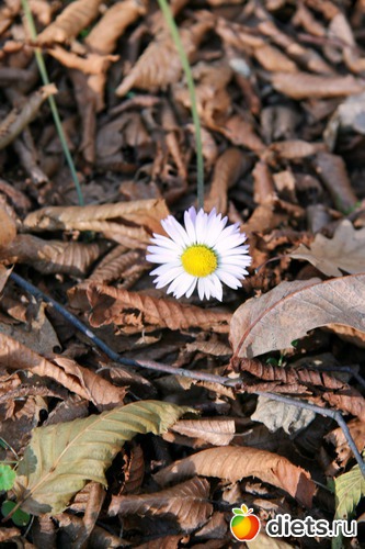 126 фото: Салоники-Халкидики-Лутраки декабрь 2012-январь 2013