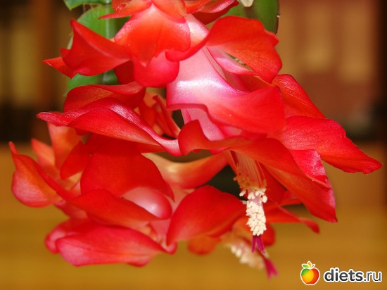 6 ����: ���������