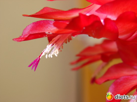 7 ����: ���������