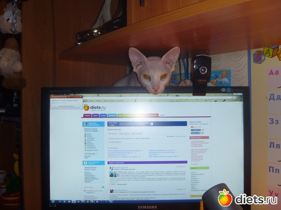 Алексу ОЧЕНЬ нравится сайт., альбом: Ну как без них...