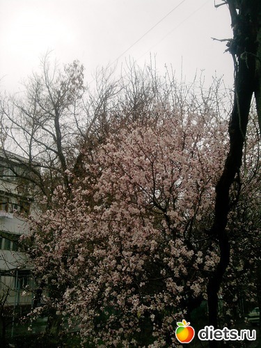 1 ����: ��������� ���� ����