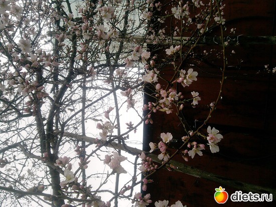 2 ����: ��������� ���� ����