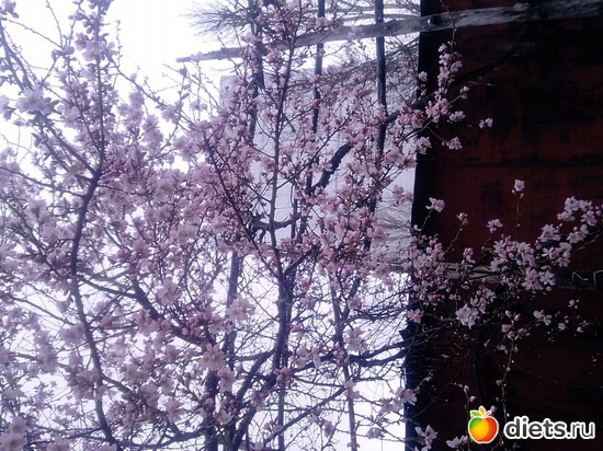 3 ����: ��������� ���� ����