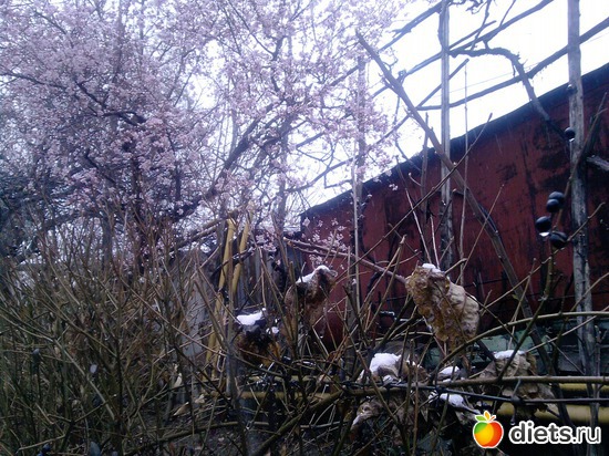 4 ����: ��������� ���� ����