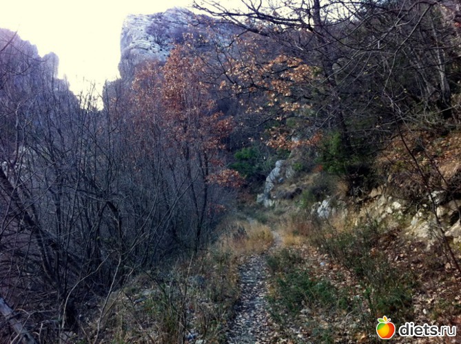 131 фото: Салоники-Халкидики-Лутраки декабрь 2012-январь 2013