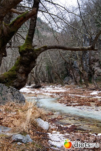 138 фото: Салоники-Халкидики-Лутраки декабрь 2012-январь 2013