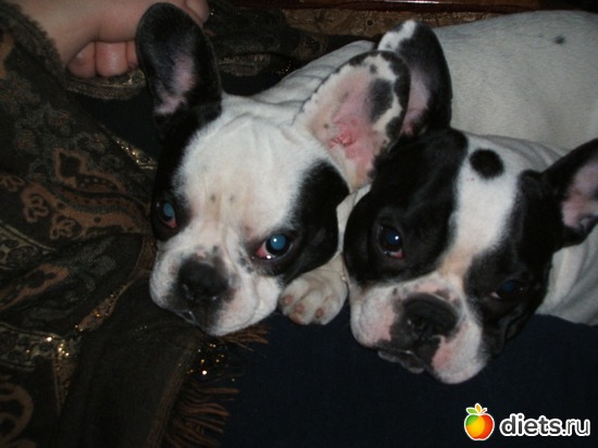 1 ����: ���� ��������!