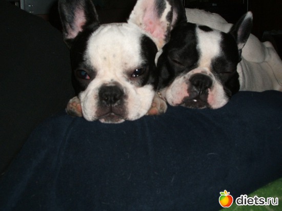 2 ����: ���� ��������!