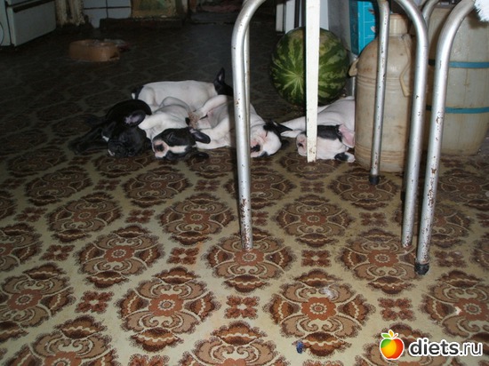 ����� ����� ������!, ������: ���� ��������!