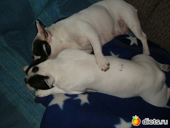 4 ����: ���� ��������!