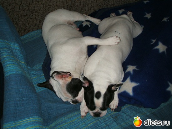 ��� ����� ��, ������: ���� ��������!