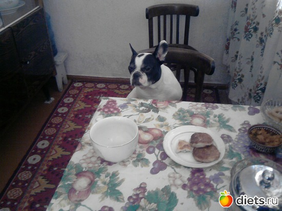 ������ ���!!!!, ������: ���� ��������!