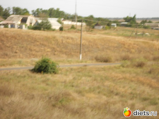 42 фото: Моя дача