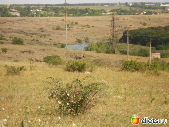 43 фото: Моя дача