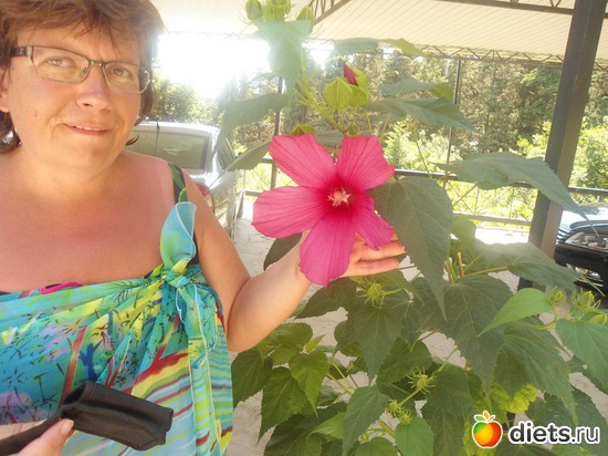 3 ����: ���� 2012