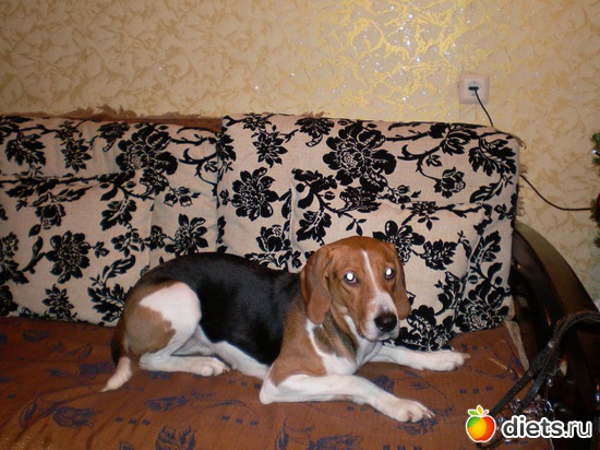 7 ����: ����� ���