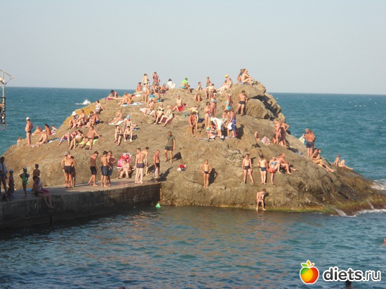 �����-�������, ������: ���� 2012