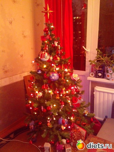 23 фото: ЕлКА!!!!!