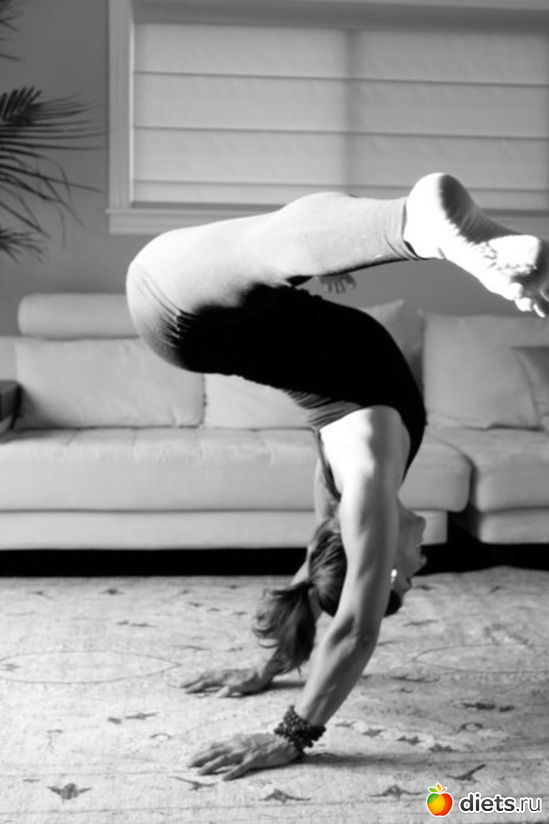 286 ����: ���������