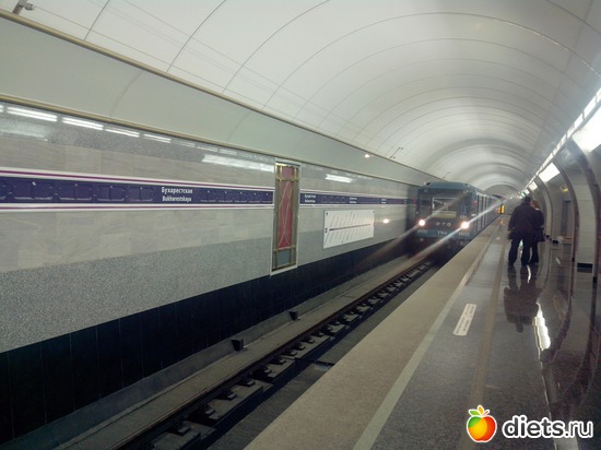 5 ����: �����. ����� �������.