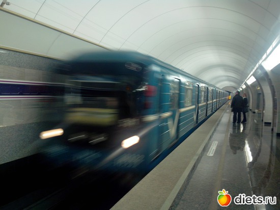 6 ����: �����. ����� �������.