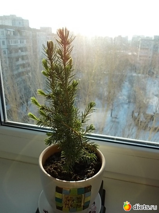 2 ����: ���� ������