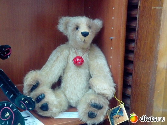 10 фото: Мишки ТЕДДИ (выставка)