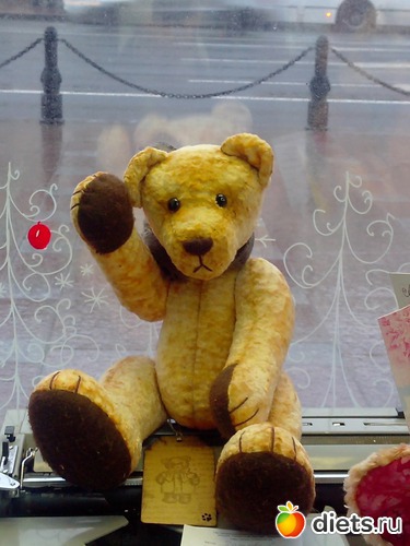 17 фото: Мишки ТЕДДИ (выставка)