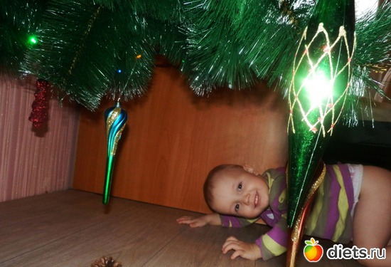 ��� �����, ������: ����� ��� 2013