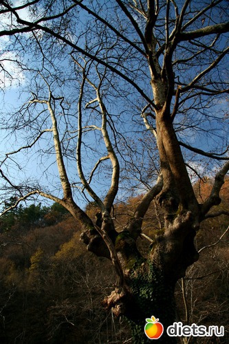 41 фото: Салоники-Халкидики-Лутраки декабрь 2012-январь 2013
