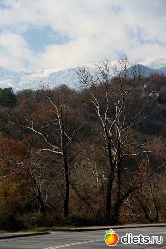 43 фото: Салоники-Халкидики-Лутраки декабрь 2012-январь 2013