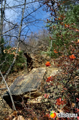 44 фото: Салоники-Халкидики-Лутраки декабрь 2012-январь 2013
