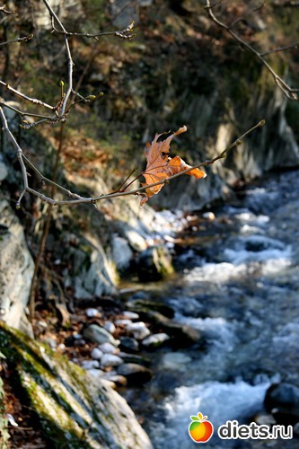 48 фото: Салоники-Халкидики-Лутраки декабрь 2012-январь 2013