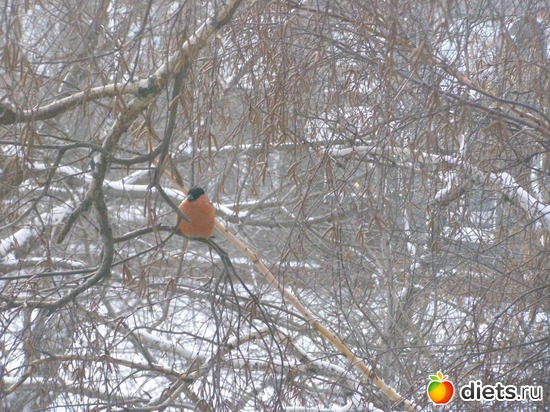 1 ����: ����������