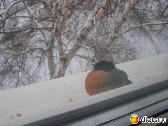 2 ����: ����������