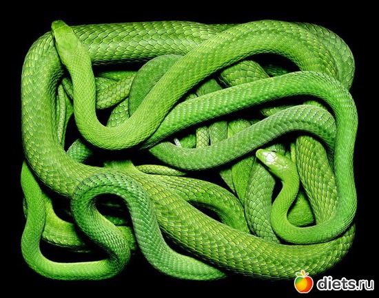 1 ����: ������