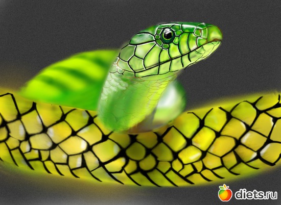 4 ����: ������