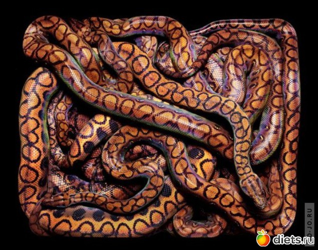 7 ����: ������