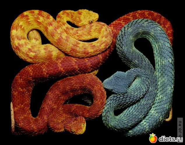 8 ����: ������